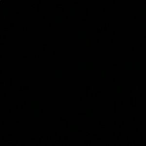 Meet your Posher, Isabella